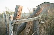 Old Fence Post