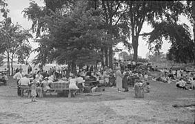 Picnics. St. Helen's Island BAnQ P48S1P03043