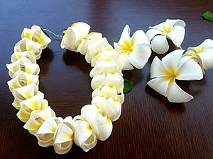 Plumeria Floral Garland