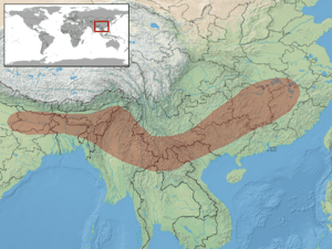 Protobothrops jerdonii distribution.png