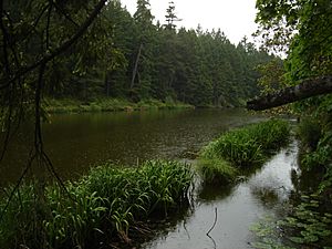 Quennell Lake, BC.jpg