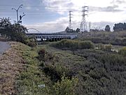 San Mateo Creek, San Mateo (44157477011)