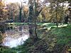 Sheep Water Pond, Hainault Forest - geograph.org.uk - 280577.jpg