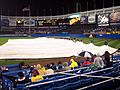 StadiumTarp