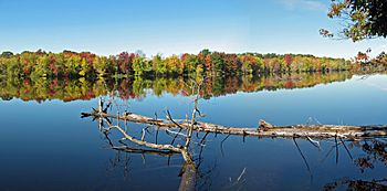 Stillwater River Maine.JPG