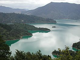 Te Mahia Bay.jpg