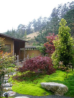 Tea garden (Green Gulch farm)