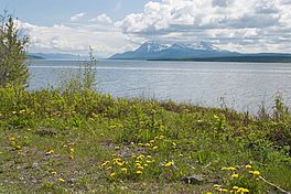 Teslin Lake.jpg