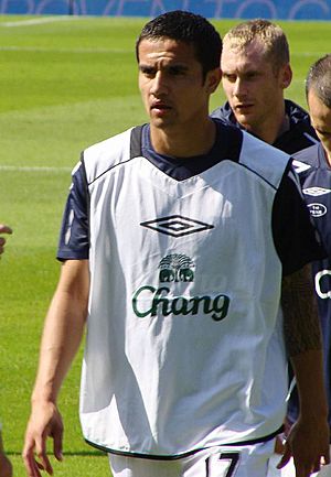 Tim cahill everton