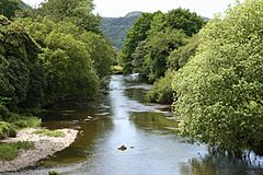 Afon Dwyryd