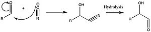 Alpha keto acids