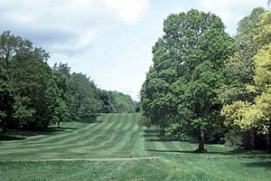 Avondale Forest Park, the main "ride". - geograph.org.uk - 68395