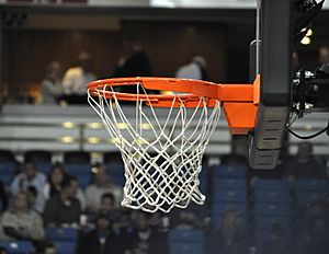 Basketball net