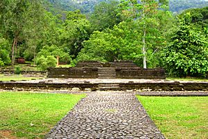 Bujang valley