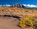 Bull Mountain, Utah