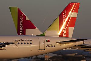 CS-TNS A320 TAP tails (5286414010)