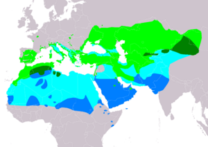 CalandrellaBrachydactylaIUCN2019 2.png