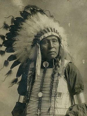 Chief Flying Hawk3.jpg