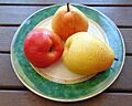 Corella (Forelle) pears
