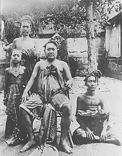 Dewa Agung in 1908.jpg