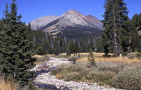 Electric-peak-trees