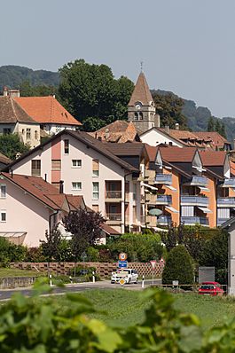 Entrée de Bursins (Suisse) par la route de l'Etraz.jpg