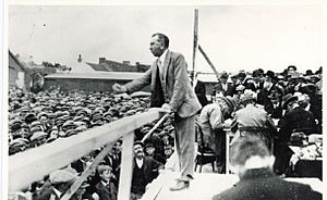 Fionán Lynch electioneering