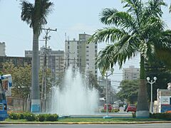 Fuente av universidad