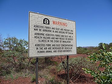 Govt Warning - Wittenoom WA.JPG