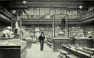 Hancock bird room