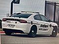 Hays county patrol car