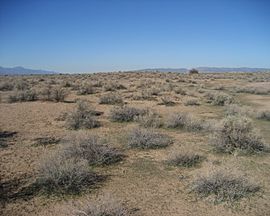 Hohokam Pima National Monument.jpg