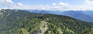 Hurricane Ridge panorama