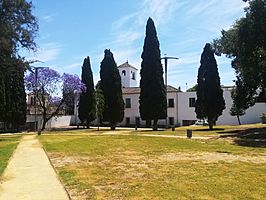 Jardines del Conde