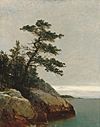 Kensett John F The Old Pine Darien Connecticut.jpg