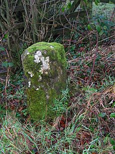 Milestone at West Balgray