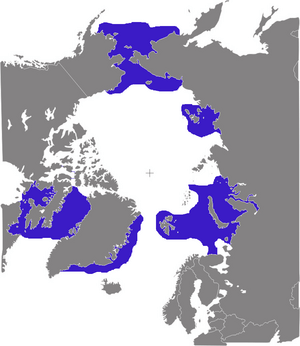 Odobenus rosmarus distribution.png