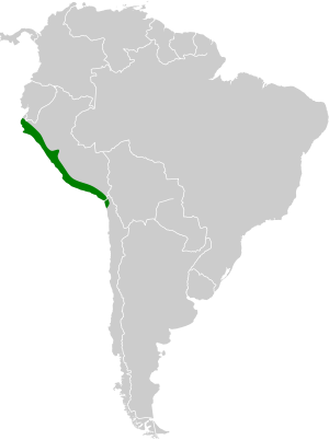 Platalina genovensium map.svg