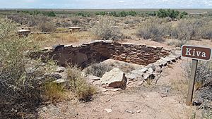 Puerco Pueblo kiva, Petrified Forest National Park