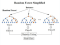 Random forest diagram complete