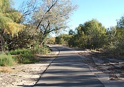 Rio Grande Trail