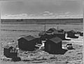 Ryer Island, Sacramento County, California. Company camp for crew of Filipino asparagus field worker . . . - NARA - 521703