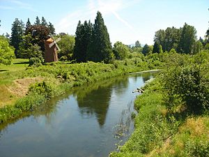 Sammamish River.jpg