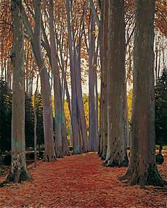 Santiago Rusiñol - Paseo de los plátanos