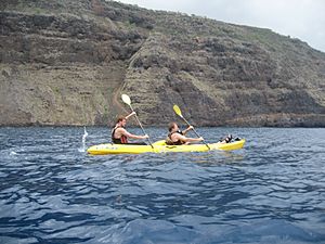 Sea Kayak Kealakekua