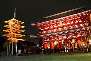 Sensoji at night 5