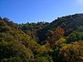 Sepulveda Pass 20071231