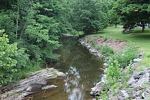 Shickshinny Creek near Koonsville