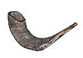 Shofar-16-Zachi-Evenor