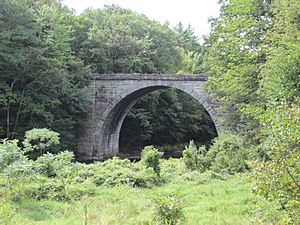 Stone Arch Bridge, Keene NH